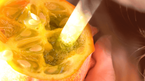 我淘到的这22种新奇水果，你不可能全吃过