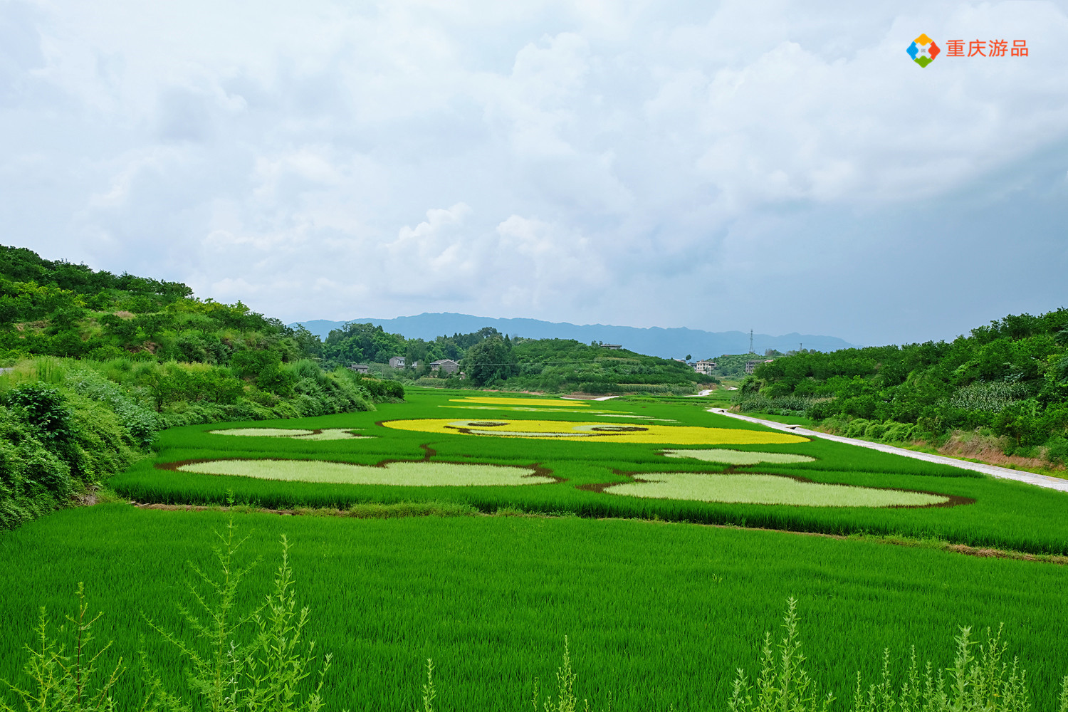 全国乡村旅游重点村解析：重庆29个村入选，和其他省市比怎么样？