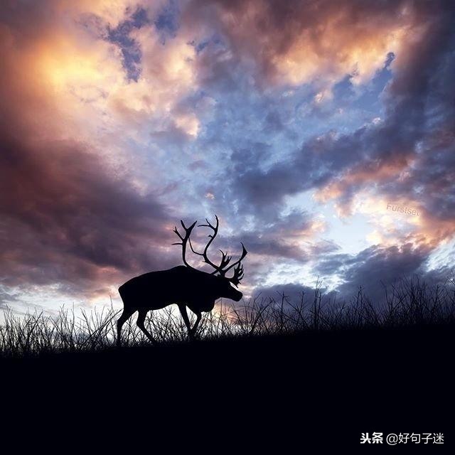很火很赞的心灵鸡汤，经典有哲理，静下心来看看！-第6张图片-非凡网