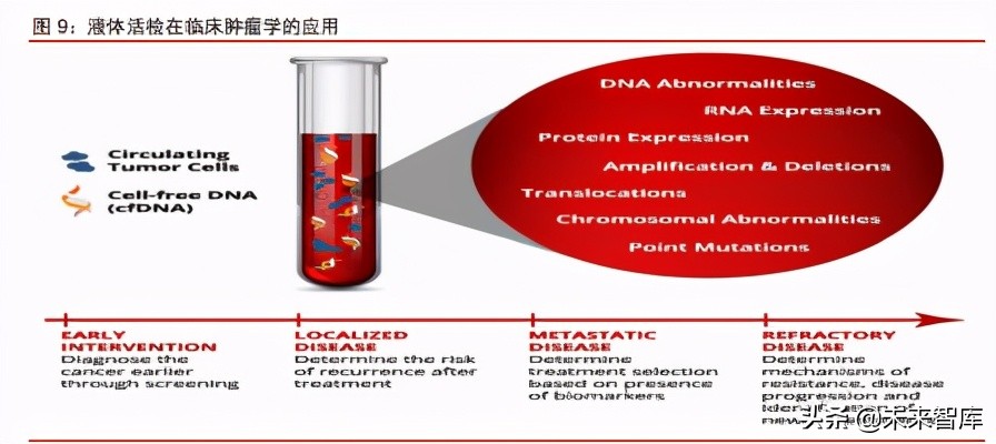 癌症检测行业深度研究报告：液体活检，千亿级癌症检测蓝海