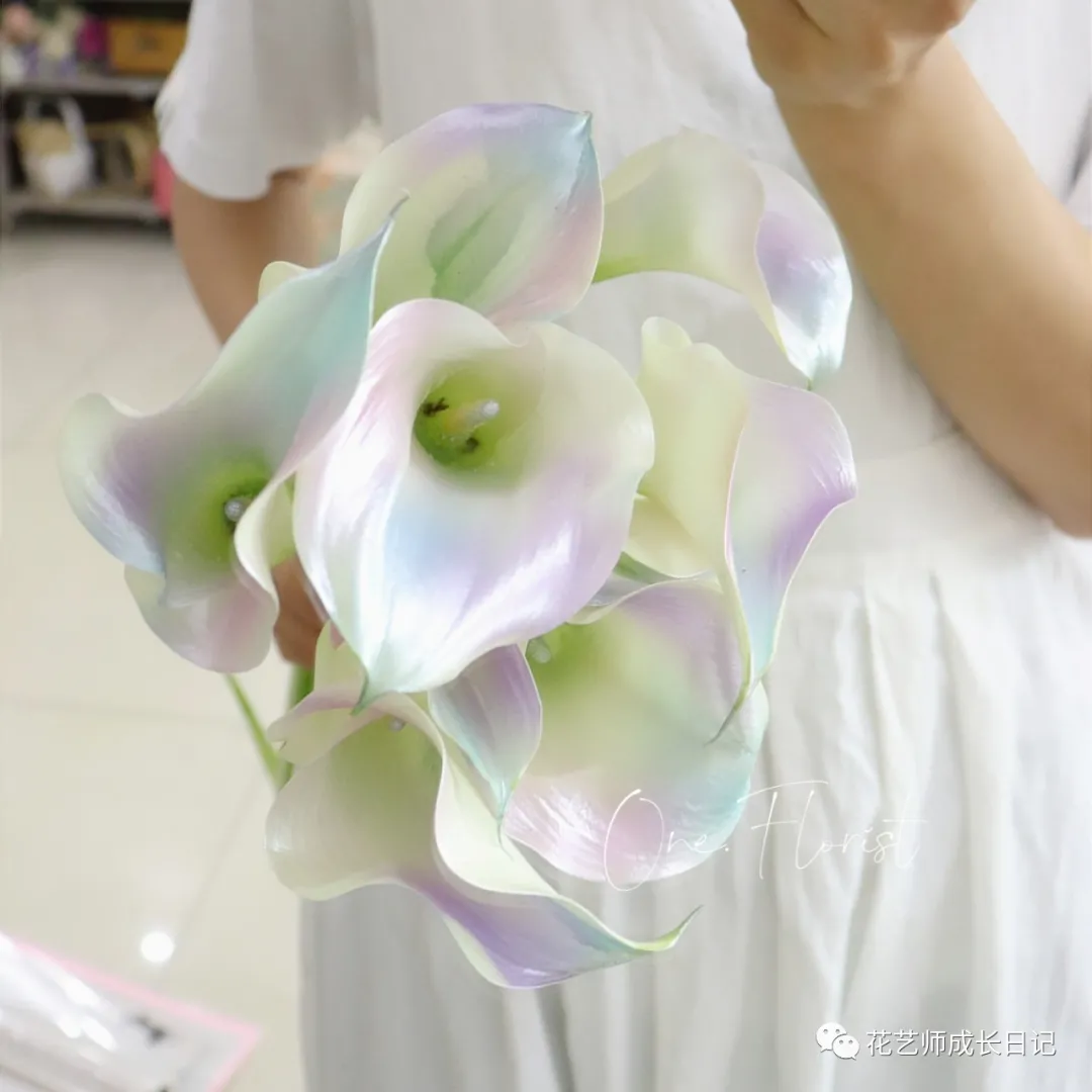 每日一花 美人鱼海芋 珍珠般的光泽 海芋中的绝绝子 花艺师成长日记 Mdeditor 每日一花 美人鱼海芋 珍珠般的光泽 海芋中的绝绝子 花艺师成长日记 Mdeditor