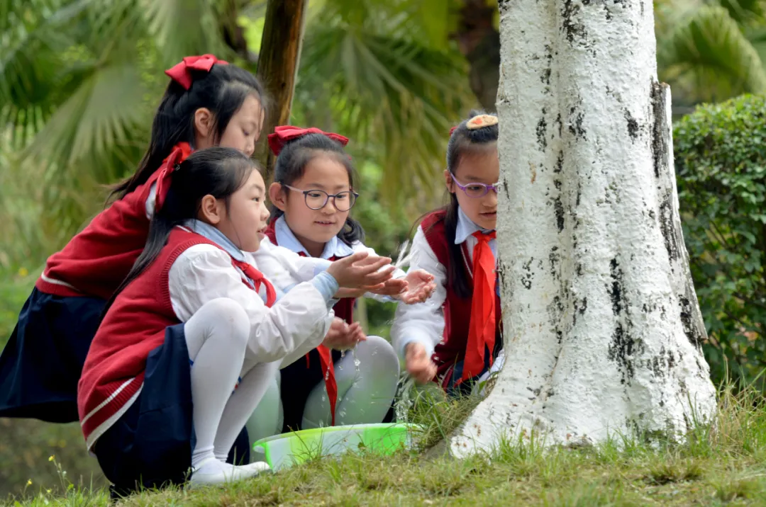 享农趣、觅农情,成都市龙泉驿区第五小学校“农耕”文化节来袭