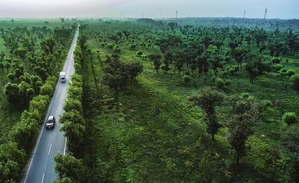 日媒：中国不可怕，可怕的是他们一个国家就吸