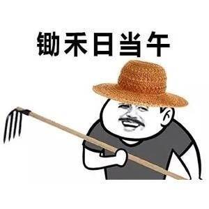 丧心病狂的外挂：透视穿墙，带老板坐飞机，打不过就炸房