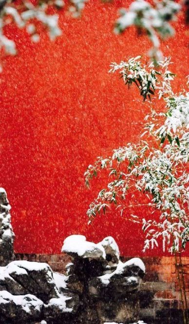 冬日，在古诗词中看雪，等一场飘雪，念一人安暖-第10张图片-诗句网