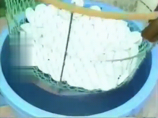 中国乒乓球队好消息不断！他们手中的球是怎么制造出来的？