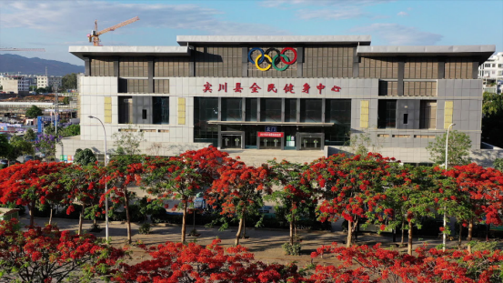 云南宾川县：凤凰花开 燃情五月