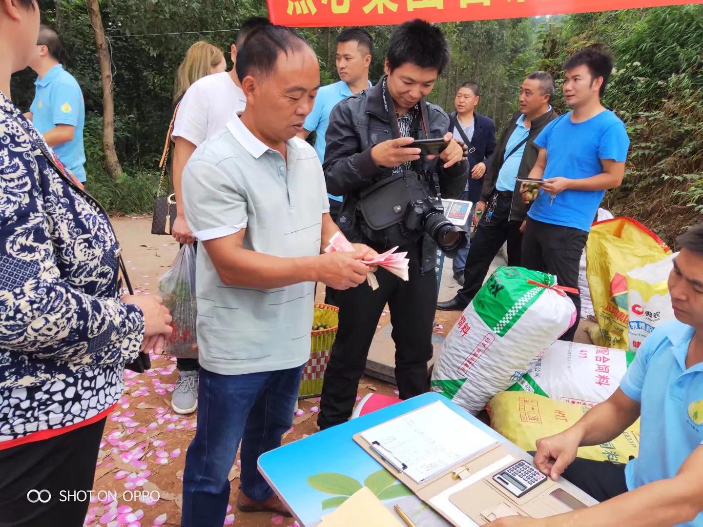 杰心集团加快油茶产业园建设推进农旅融合发展