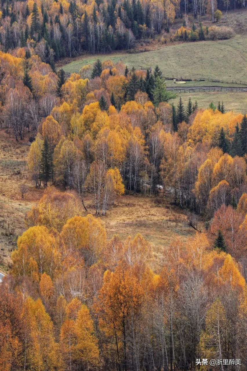 10 ancient towns with beautiful autumn colors, if you are tired, go to stay for a few days