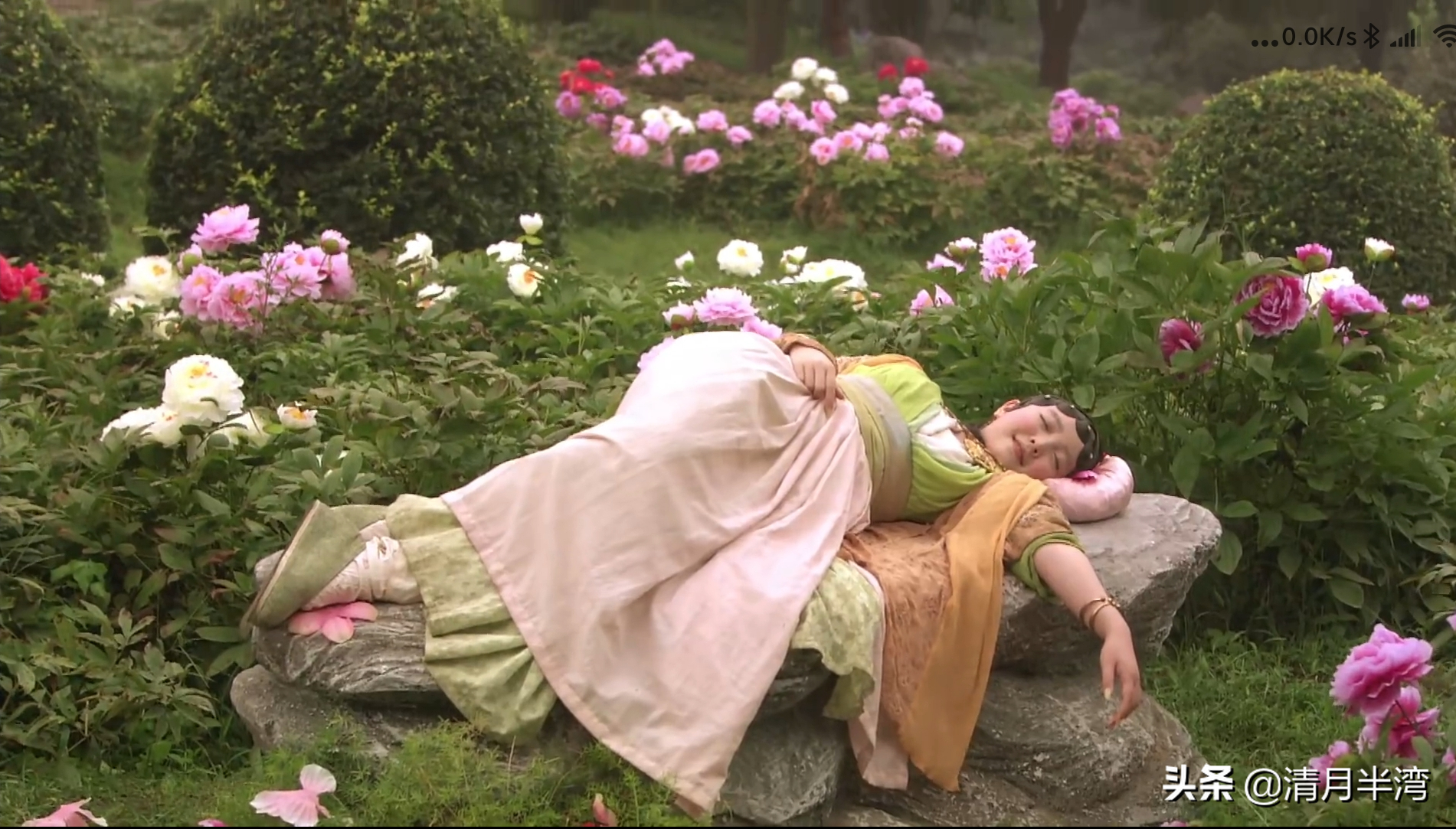 六版湘云醉卧有人醉卧有人假寐还有人像产后护理