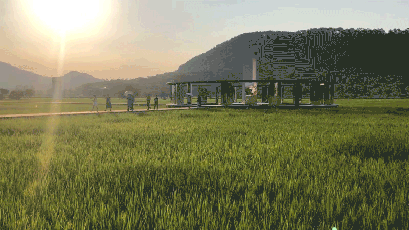 乡村振兴将给年轻人带来什么机遇？三大方向，破局“农业+”