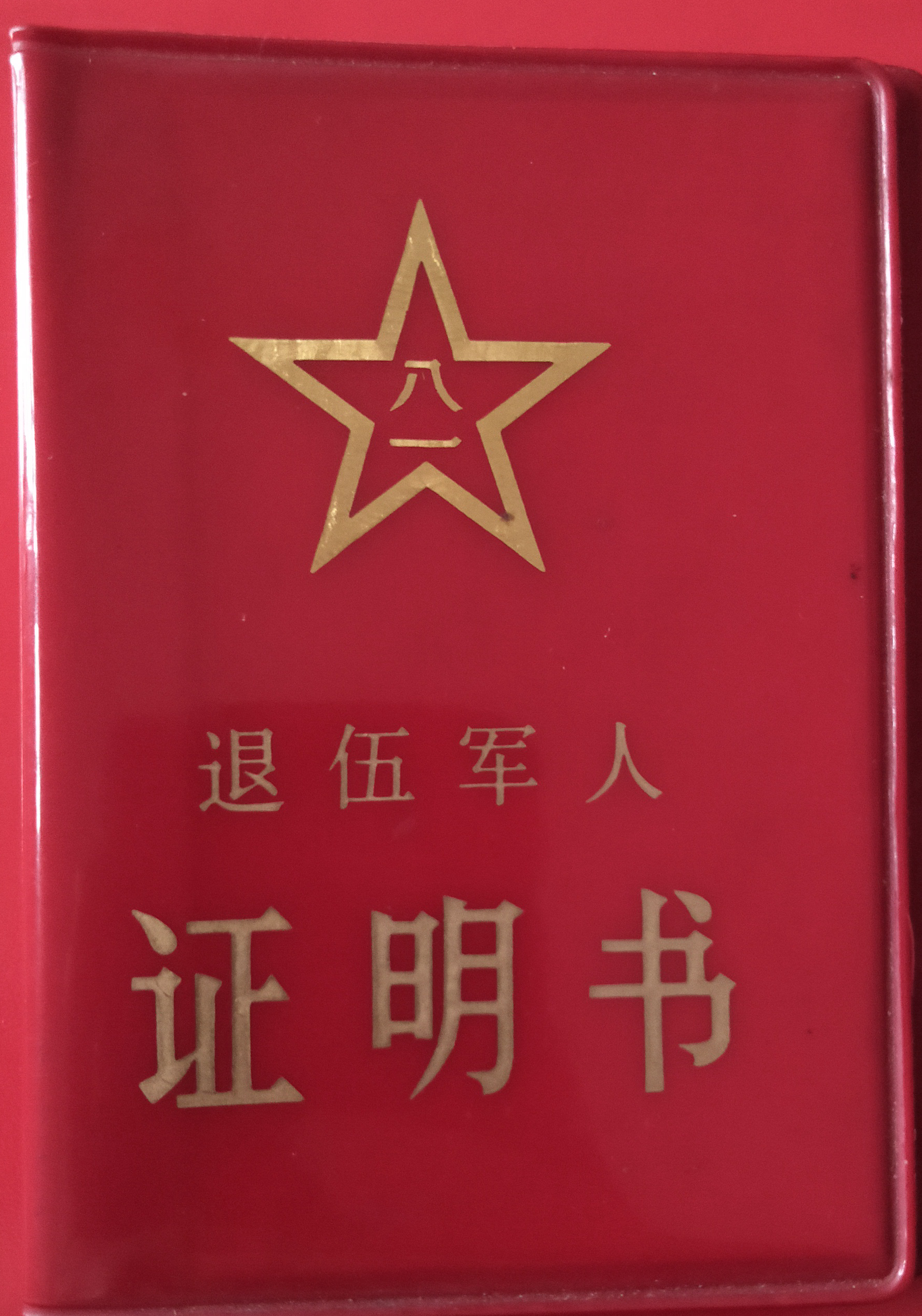 中国红色文化研究会老山精神专业委员会