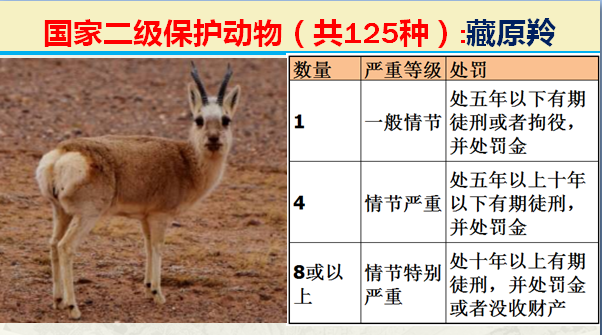 国家最新125类二级野生保护名录，图片及违法对应刑责