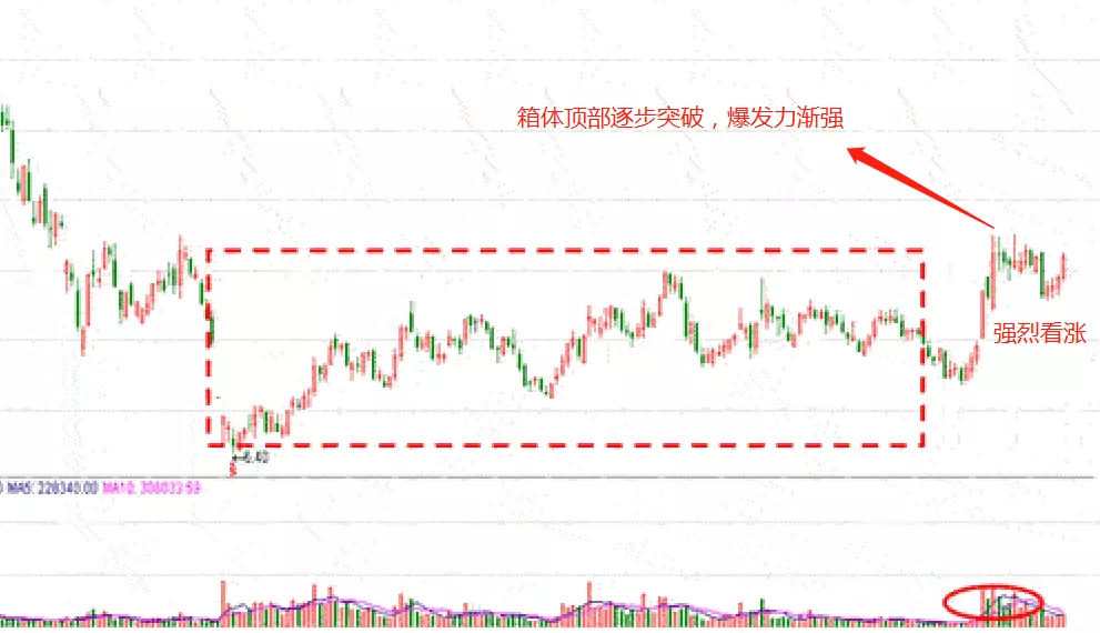 知道什么是黑马股？