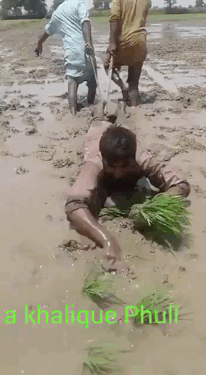 Does the girl give boudoir honey to take a picture with this kind of pose? The friendship that this looks even if spends a lot breaths out Hahahaha