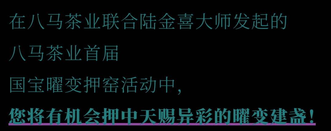 「陆金喜×八马」共续千年茶盏佳话 共扬中华文化之美