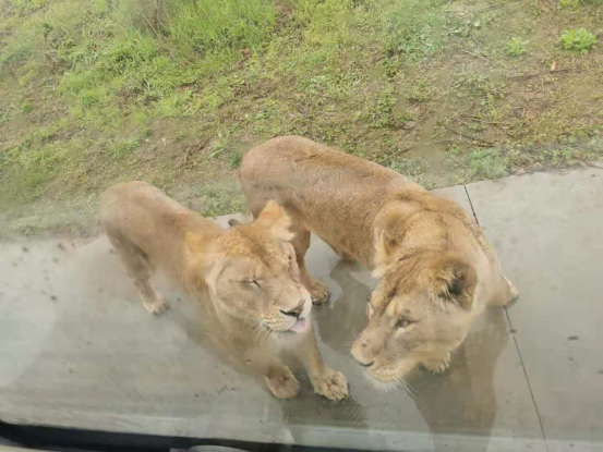 春游江淮等您来|春意盎然,阜阳媒体与临泉的浪漫约会!