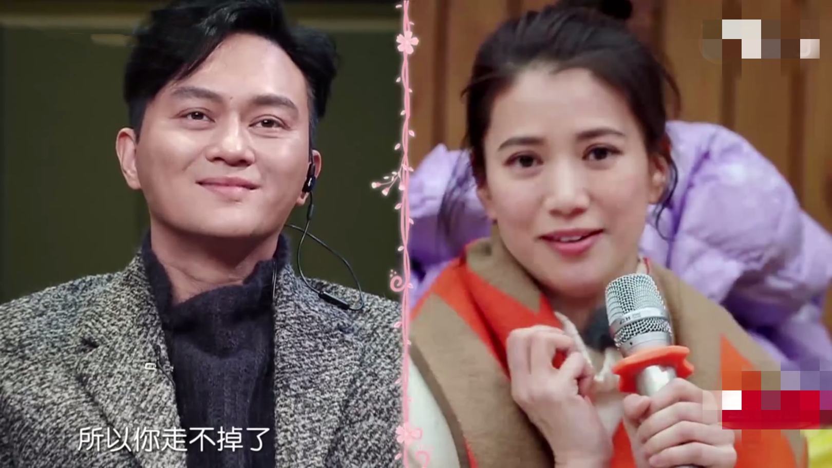 张智霖被獒犬送袁咏仪人偶，调侃很恐怖，靓靓追老公综艺犯花痴