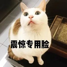 比特币行情巨震！有人5分钟赚了3千，一个失误又亏了13万！