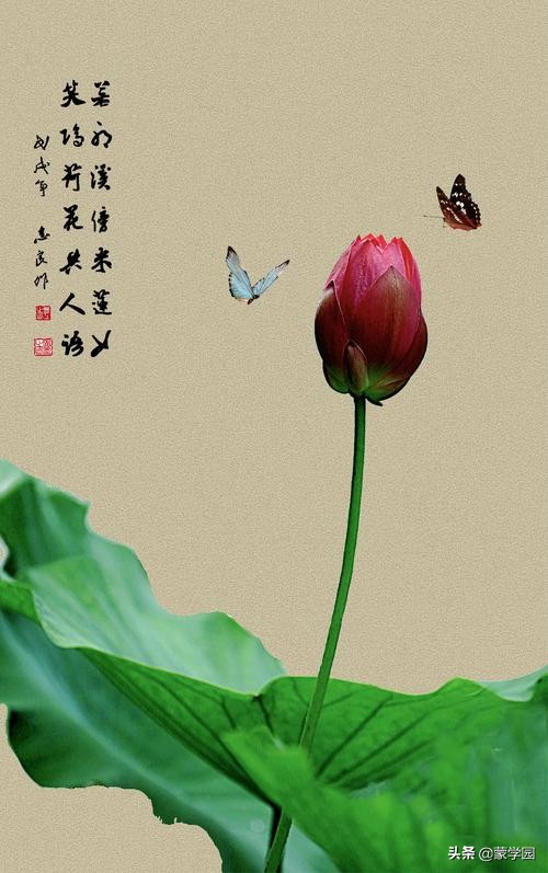 400句 春夏秋冬诗词名句-第4张图片-非凡网