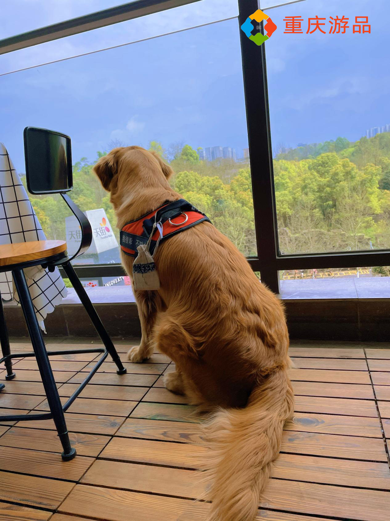 时间深处的美好，重庆大学城三度书咖，发呆也能享受的安逸