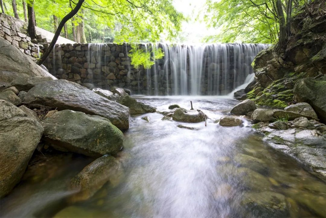 春光明媚，雞公山喜迎千人團隊高峰踏青賞花