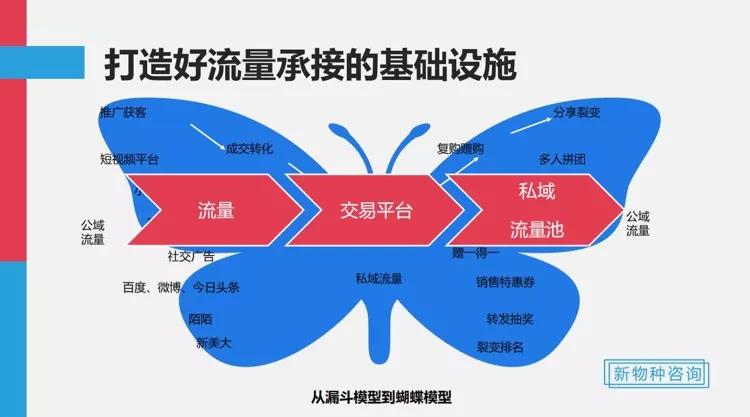 喜茶、海底捞、泡泡玛特等品牌崛起背后，藏着打造爆品的3个秘诀