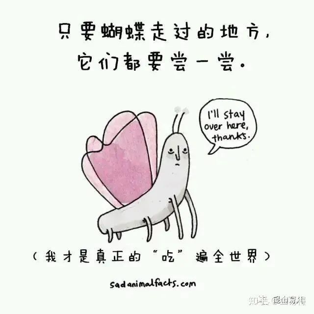 30個(ge) 有趣的科普小星空体育官网入口网站，你知道幾個(ge) ?