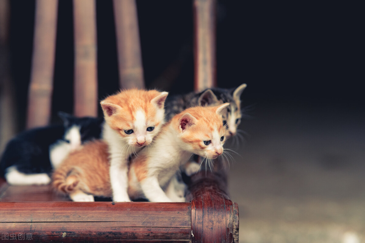 重庆名科在线：当你内心充满心事却无人可以倾诉怎么办？