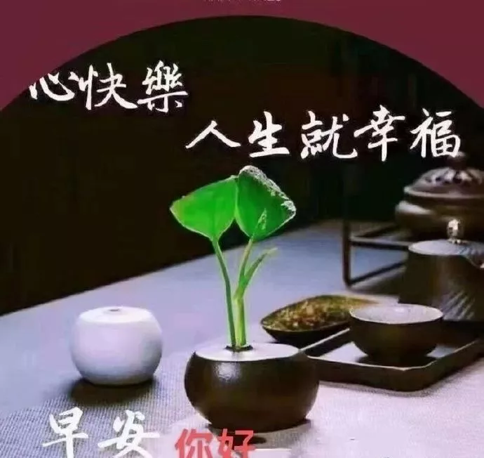 清晨早安阳光的正能量问候语，最美早安问候祝福语图片带字温馨图片