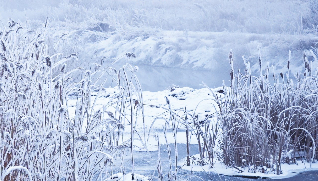 8首冬日诗词，写尽冬日之美：岁月寒凉，因你温暖-第7张图片-诗句网