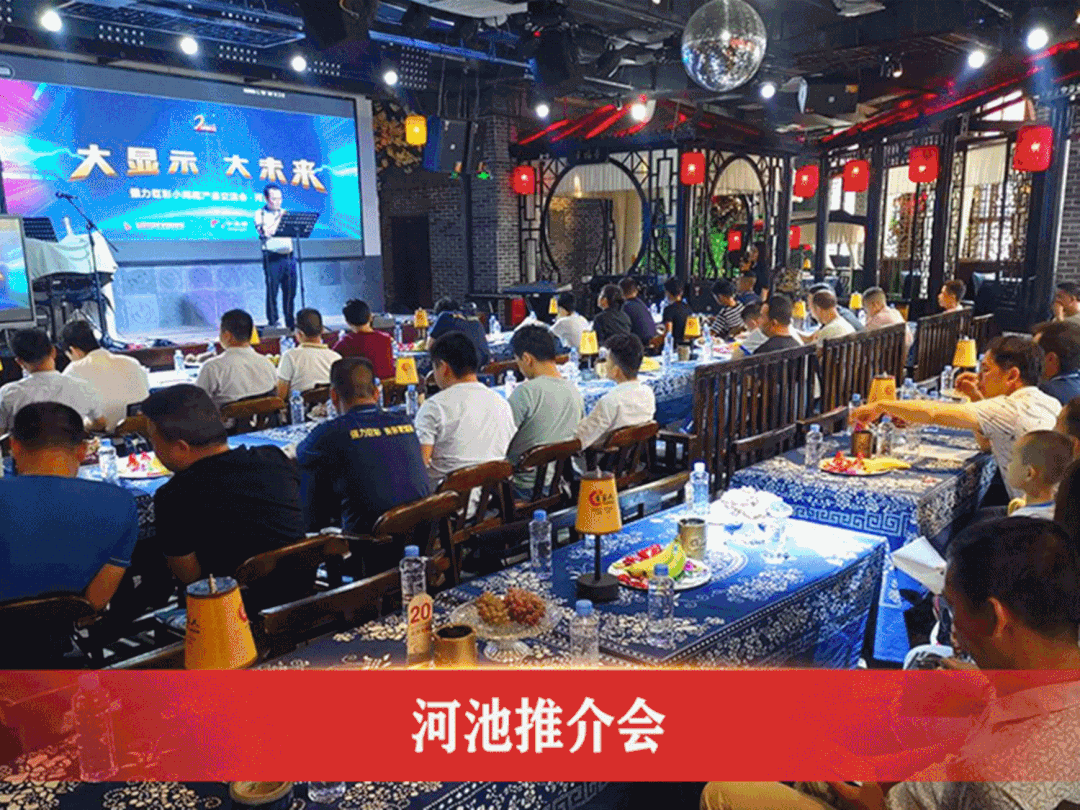 大显示 大未来｜2020年强力巨彩近200场推介会引爆全国