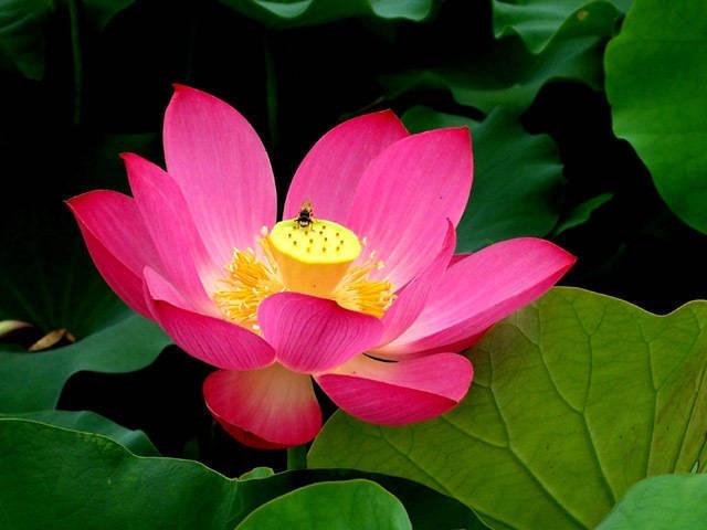 心態正能量的人生句子,字字千金,富含哲理