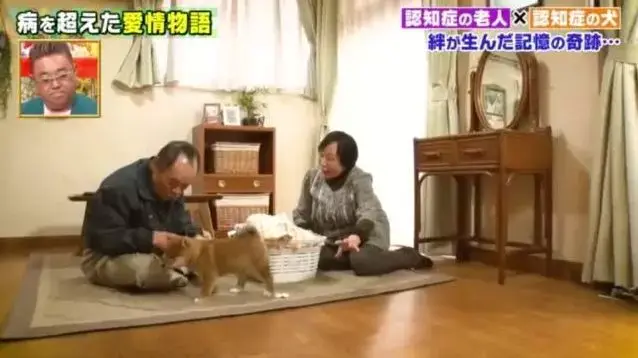 日本81岁奶奶和柴犬同患老年痴呆，分开2年后感人一幕发生了