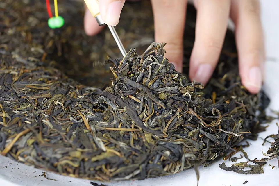 强降雨袭来，潮湿天气，普洱茶要如何防潮？