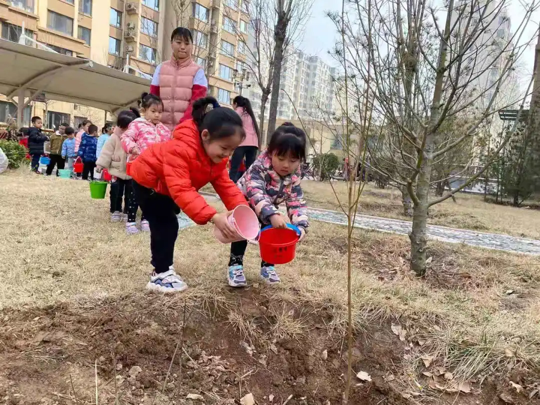 「泰华生活服务·植树节」让我们一起行动起来