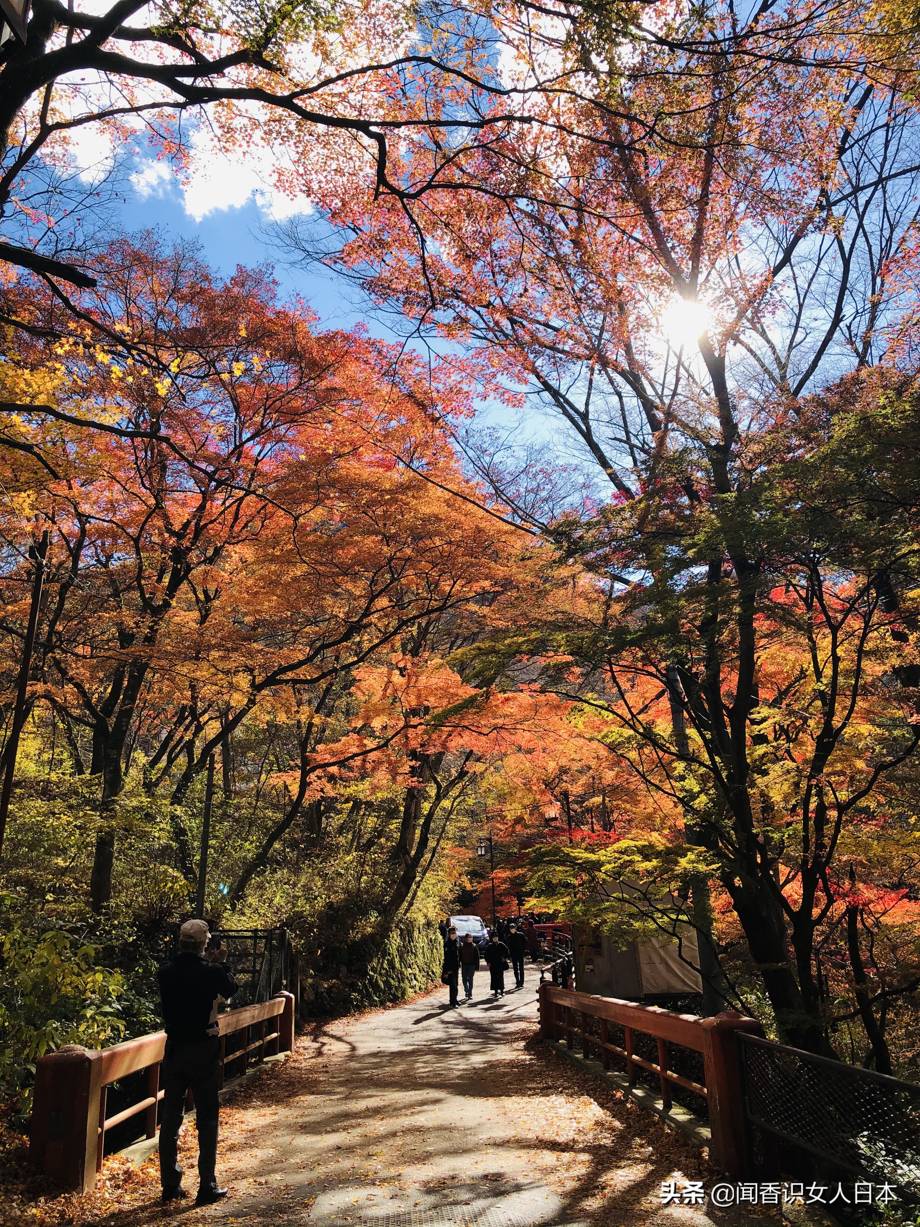 群马县三大名汤之一的伊香保温泉 其中河鹿桥是红叶最佳旅游地点 全网搜