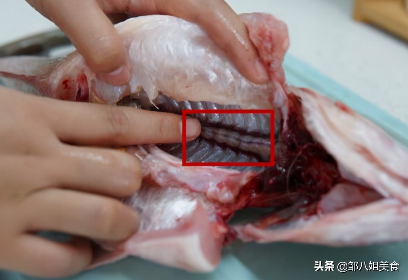 給魚(yú)去腥，不要用料酒，教您一個(gè)好方法，燉魚(yú)無(wú)腥味，鮮香十足