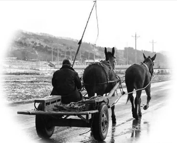 ��������1968���������磬�ٱ�7Ѯ��ũ��5�����߼��ɲ���������