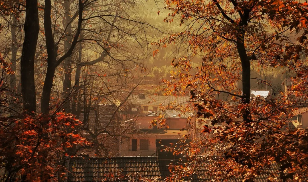 The most beautiful place to travel in November, no strategy and no money, which one do you want to go to?