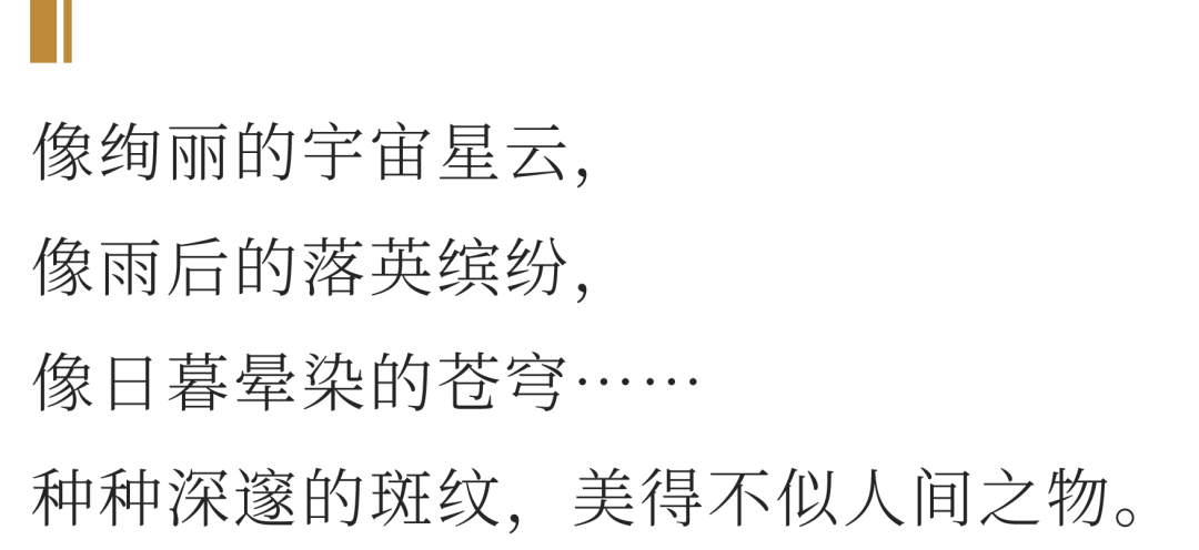 「陆金喜×八马」共续千年茶盏佳话 共扬中华文化之美