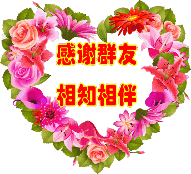 十一|今天正月十一祝福 一心一意的祝福送给群里的朋友谁打开谁幸福