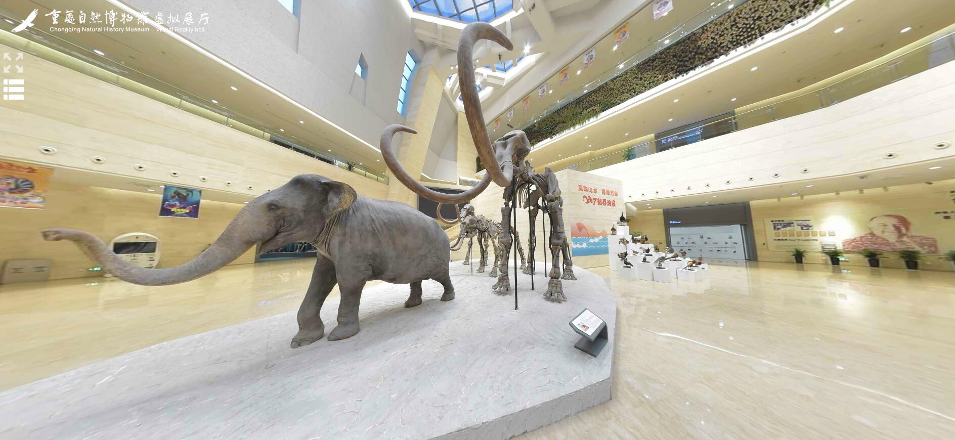 国际博物馆日怎么过？重庆的5大一级博物馆，门票最高140