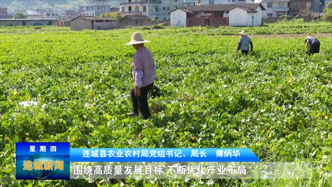 「勇擔新使命 奮進新征程」連城縣農業農村局：鞏固拓展脫貧攻堅成果 全面推進鄉村振興