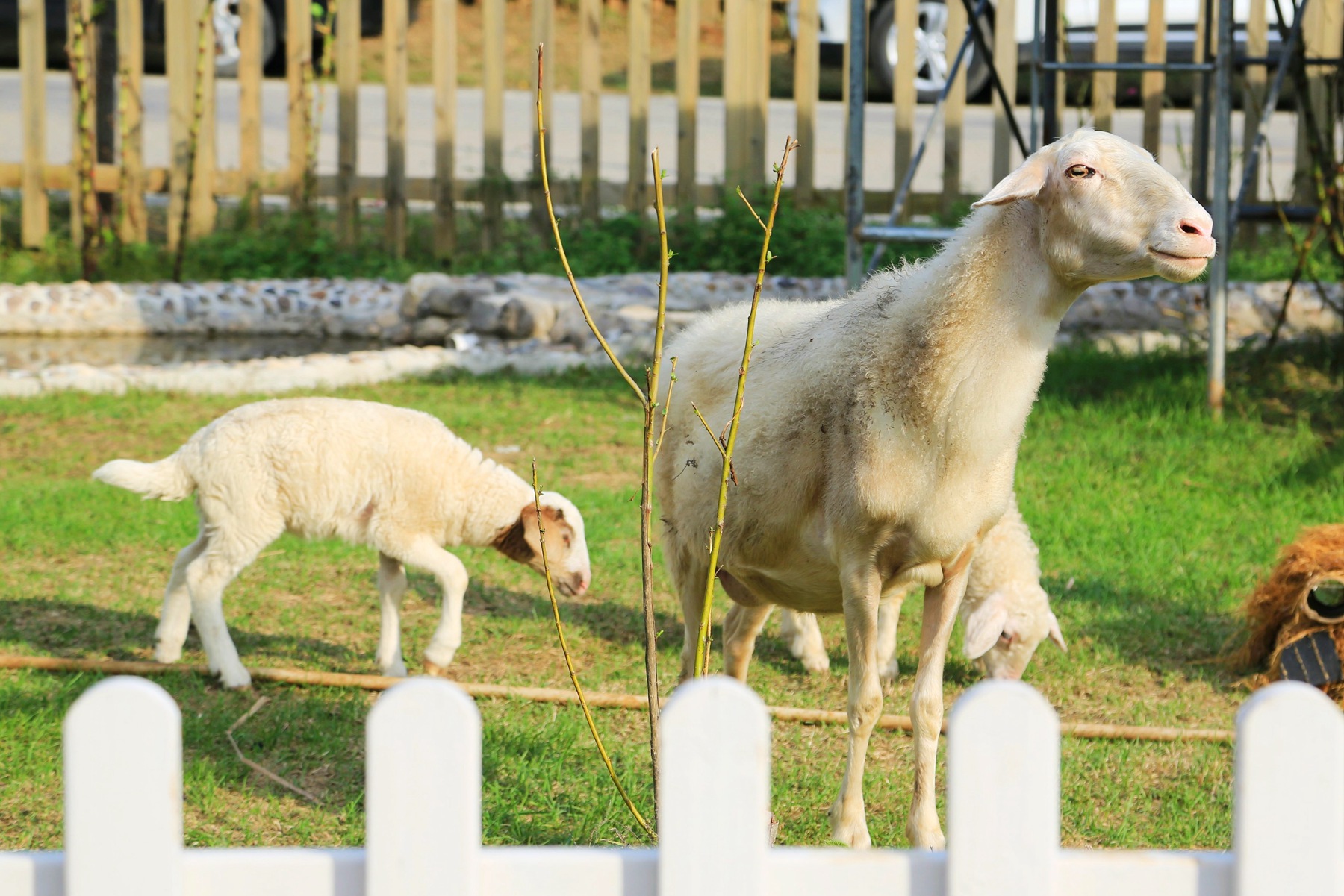京郊密云小众亲子游，回归田园拥抱自然的超嗨假期
