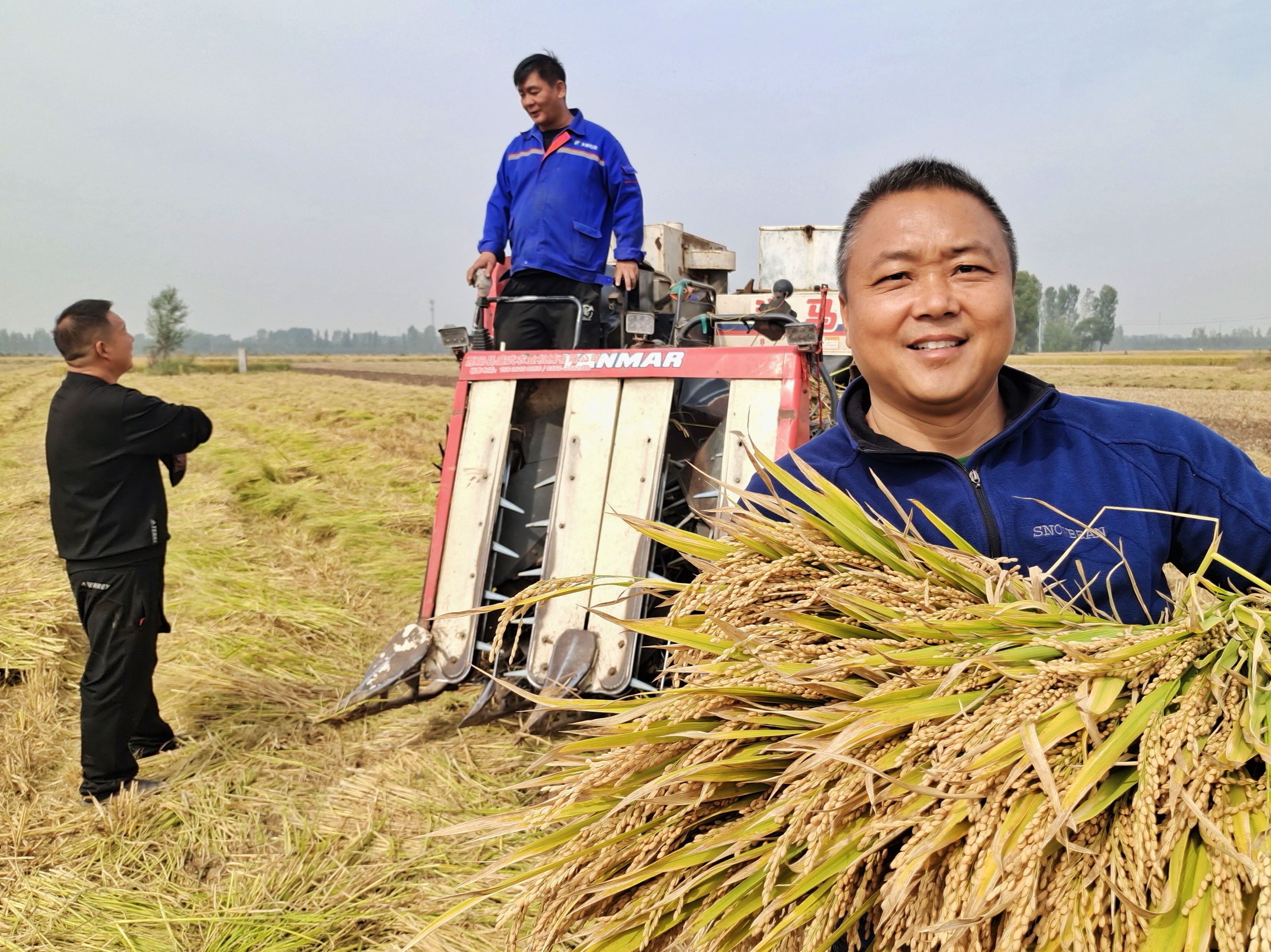 稻花飘香|【段双奇摄影作品】深秋时节看稻花飘香
