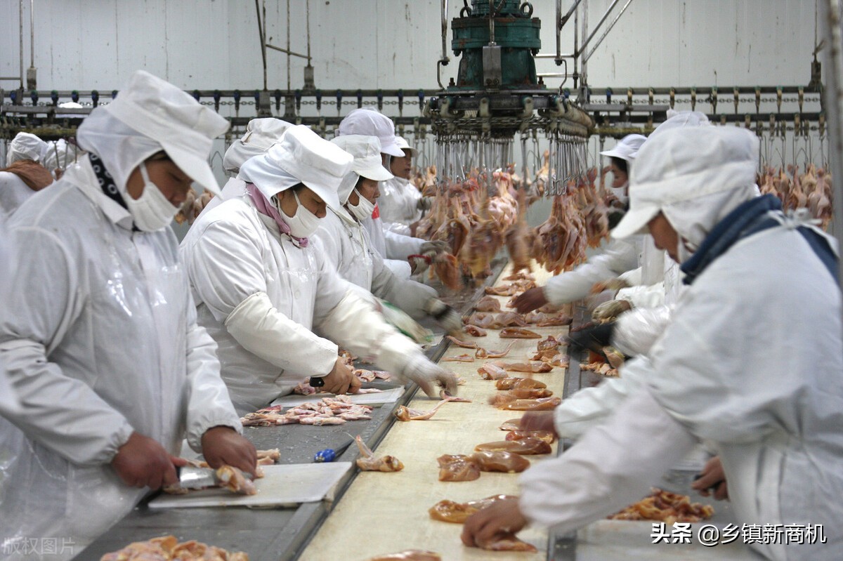 农村小型加工厂做什么好不愁销路的小工厂项目