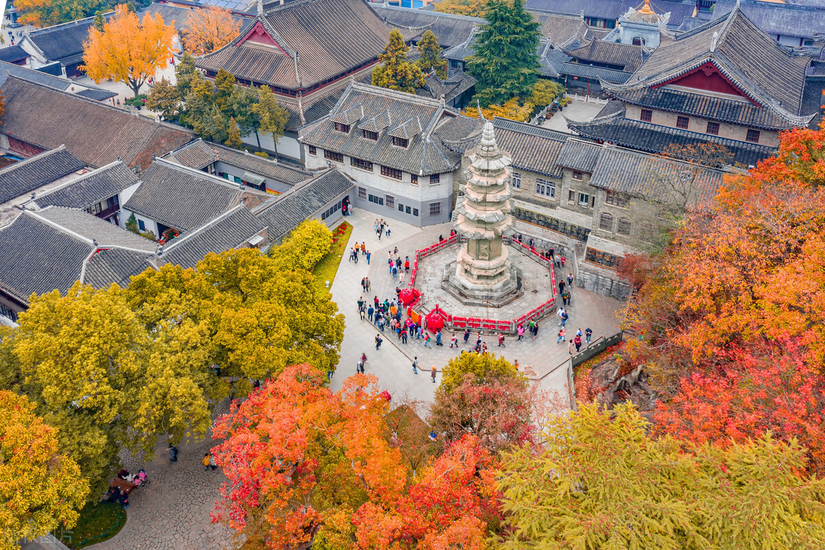 南京的秋天，美成了金陵该有的样子，谁能不爱？插图59