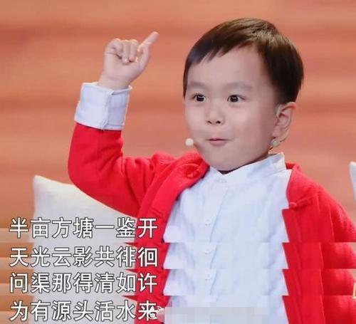 3岁幼童识3000多汉字，180个国旗，熟背古诗500余首，是炒作？