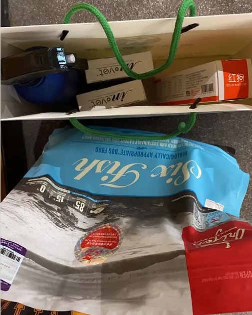 没错，狗也能献血，但被“人”喷闲得慌，说狗不配人的待遇